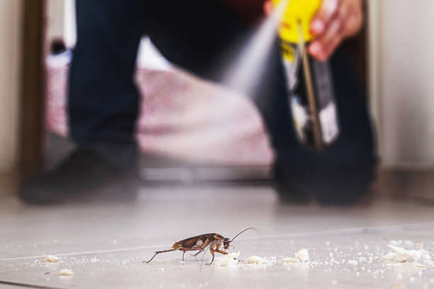 Reliable Williamsburg, OH Pest Control Solutions